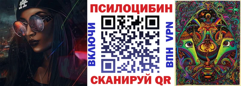 KRAKEN вход  Кушва  Галлюциногенные грибы Psilocybine cubensis 