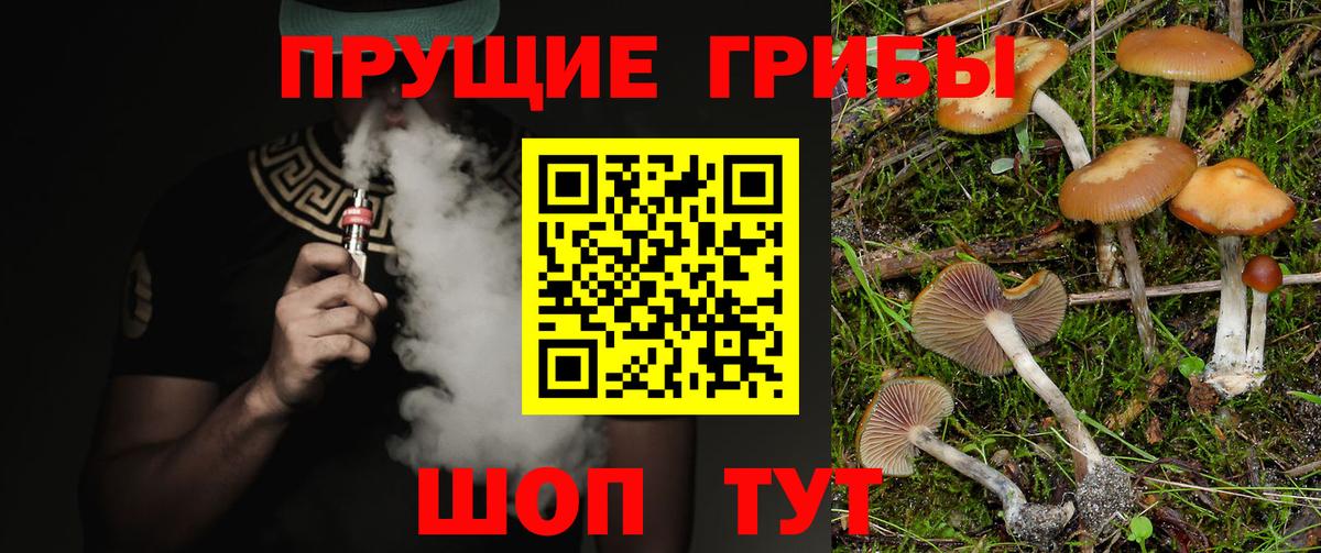 Галлюциногенные грибы GOLDEN TEACHER Кушва