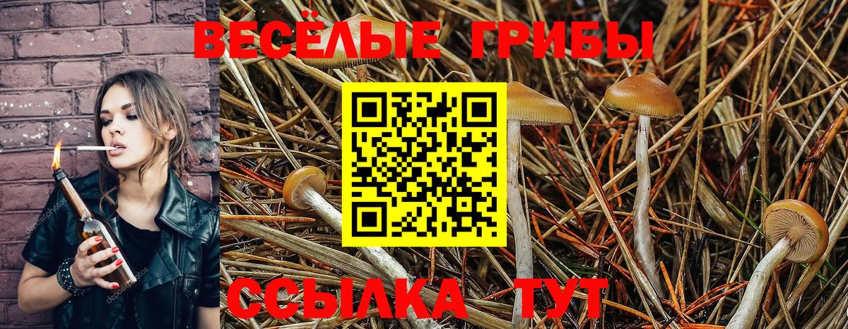 Кушва  Псилоцибиновые грибы мицелий  Вход с VPN  где продают наркотики  Псилоцибиновые грибы MAGIC MUSHROOMS 