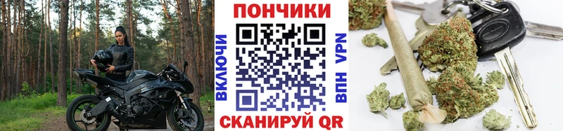 Каннабис планчик  купить наркотик  omg зеркало  Кушва 